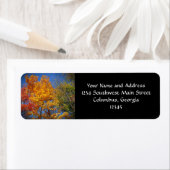 秋カラフルの木 ラベル (インサイチュ)