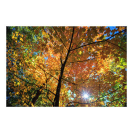 秋カラフルセントラルパークビューフォトプリント フォトプリント           