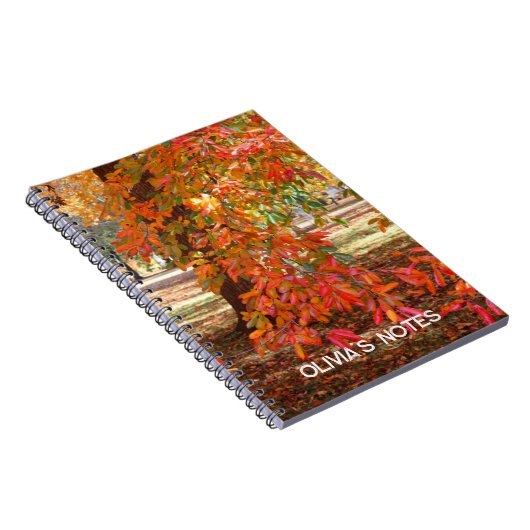 秋カラフル木ノートブパーソナライズされたック ノートブック (右側)