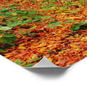 秋カラフル路 ポスター (角)