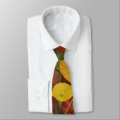 秋カラフル ネクタイ (タイ)
