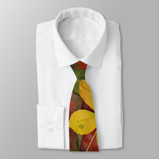 秋カラフル ネクタイ (タイ)