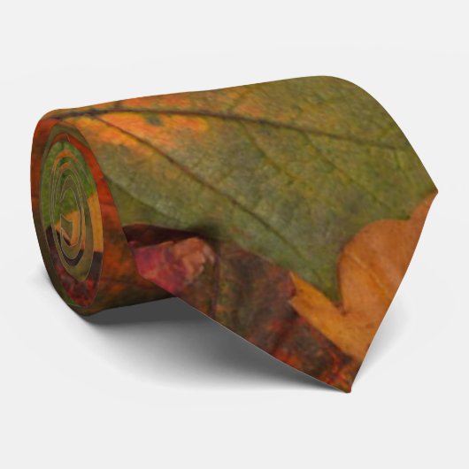 秋カラフル ネクタイ (ロール)