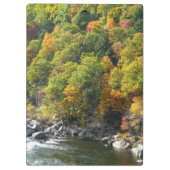 秋カラーアットオヒオピレ州パーク クリップボード (裏面)