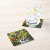 秋カラーアットオヒオピレ州パーク スクエアペーパーコースター (インサイチュ)