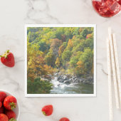 秋カラーアットオヒオピレ州パーク スタンダードランチョンナプキン (インサイチュ)