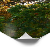 秋カラーアットオヒオピレ州パーク ポスター (コーナー)