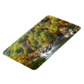 秋カラーアットオヒオピレ州パーク マグネット (左側)