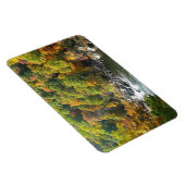 秋カラーアットオヒオピレ州パーク マグネット (右側)