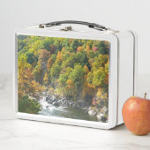 秋カラーアットオヒオピレ州パーク メタルランチボックス (インサイチュ)
