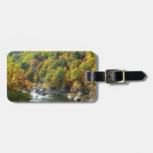 秋カラーアットオヒオピレ州パーク ラゲッジタグ (正面横)