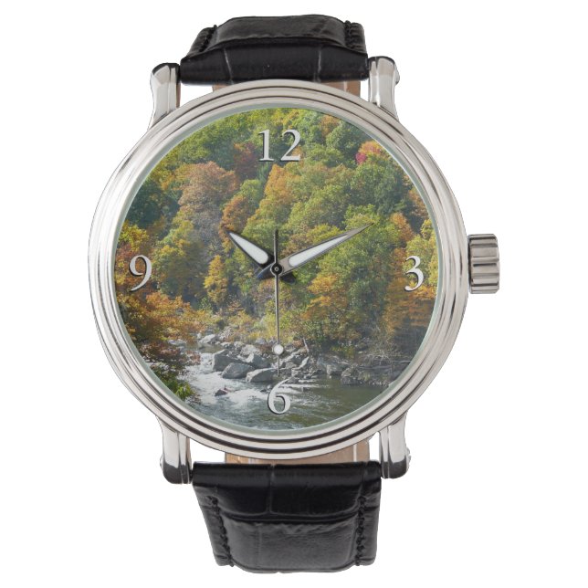 秋カラーアットオヒオピレ州パーク 腕時計 (正面)