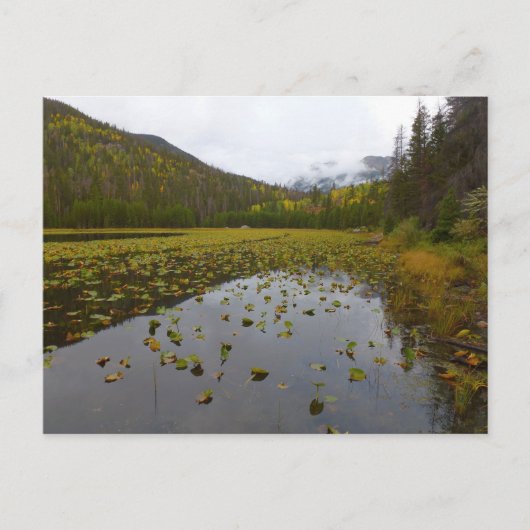 秋カラーアットクブレイク ポストカード (正面)