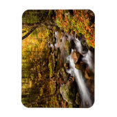 秋カラージェファーソンブルック |白い山 マグネット (縦)