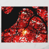 秋カラーツアーハロウィーンイベント秋イベントフライヤー チラシ (裏面)