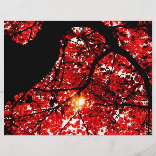 秋カラーツアーハロウィーンイベント秋イベントフライヤー チラシ (裏面)