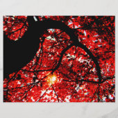 秋カラーツアーハロウィーンイベント秋イベントフライヤー チラシ (裏面)