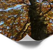 秋カラーフォレスト ポスター (角)