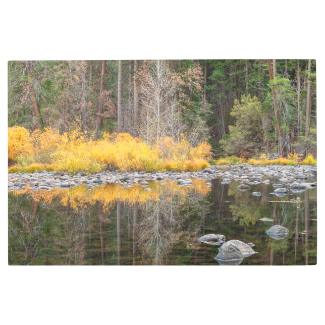 秋カラー反射 メタルプリント (正面)