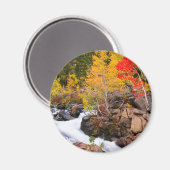 秋カラー、ビショップ・クリーク沿い（カリフォルニア州） マグネット (正面/裏面)
