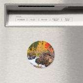 秋カラー、ビショップ・クリーク沿い（カリフォルニア州） マグネット (インサイチュ (食洗機))