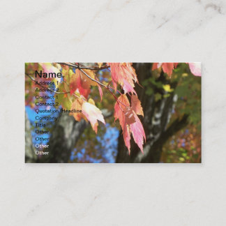 秋カード 名刺
