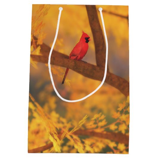 秋ガーディアン抱き枕 ミディアムペーパーバッグ (裏面)