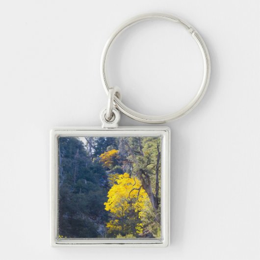 秋キーチェーン6 キーホルダー (正面)