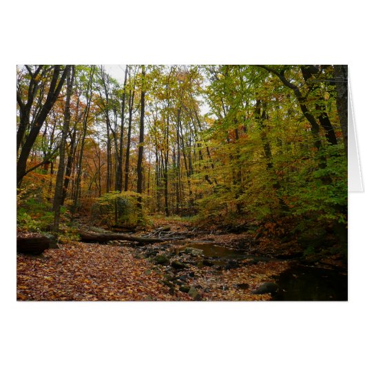 秋クリークアットローレルヒル州パークペンシルバニア (正面横)