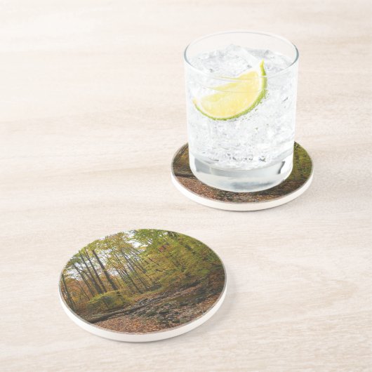 秋クリークアットローレルヒル州パークペンシルバニア コースター (側面)