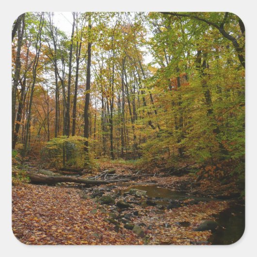秋クリークアットローレルヒル州パークペンシルバニア スクエアシール (正面)