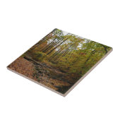 秋クリークアットローレルヒル州パークペンシルバニア タイル (側面)