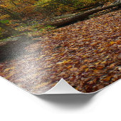 秋クリークアットローレルヒル州パークペンシルバニア フォトプリント (角)