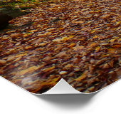 秋クリークアットローレルヒル州パークペンシルバニア ポスター (コーナー)