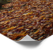 秋クリークアットローレルヒル州パークペンシルバニア ポスター (角)