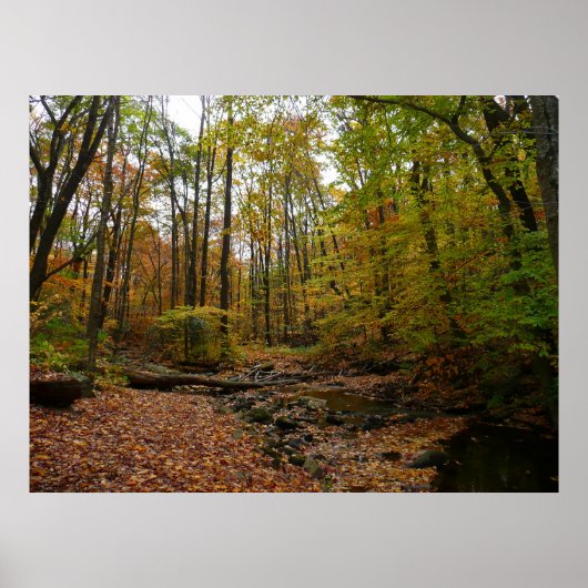 秋クリークアットローレルヒル州パークペンシルバニア ポスター (正面)