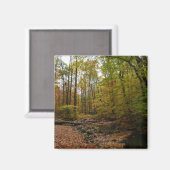 秋クリークアットローレルヒル州パーク マグネット (正面/裏面)