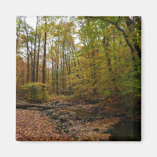 秋クリークアットローレルヒル州パーク マグネット (正面)