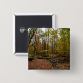 秋クリークアットローレルヒル州パーク 缶バッジ (正面&裏面)