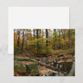 秋クリークウィズリフレクションアットローレルヒルパーク (正面/裏面)