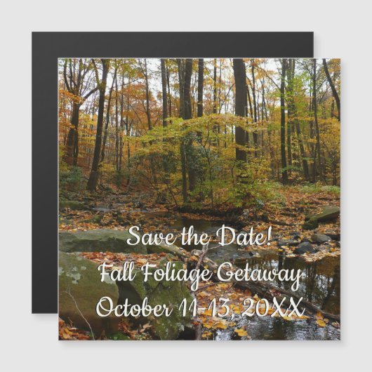 秋クリークウィズリフレクションアットローレルヒルパーク (正面/裏面)