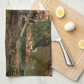 秋クリークウィズリフレクションアットローレルヒルパーク キッチンタオル (四つ折り)
