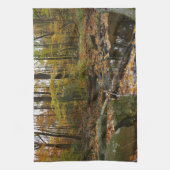 秋クリークウィズリフレクションアットローレルヒルパーク キッチンタオル (縦)