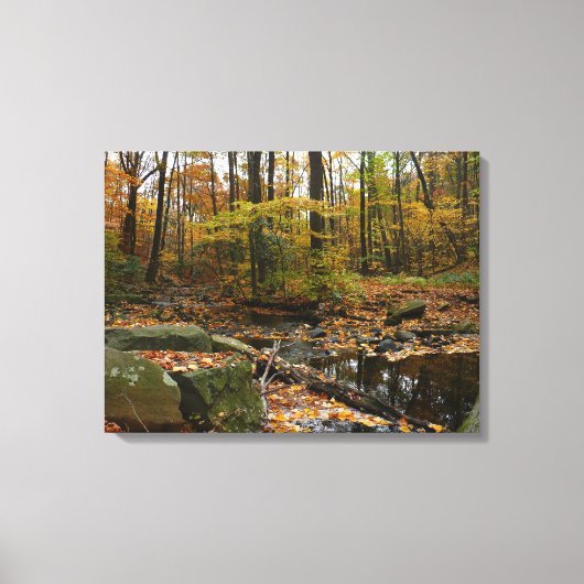 秋クリークウィズリフレクションアットローレルヒルパーク キャンバスプリント (正面)