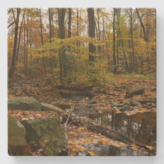 秋クリークウィズリフレクションアットローレルヒルパーク ストーンコースター (正面)