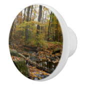 秋クリークウィズリフレクションアットローレルヒルパーク セラミックノブ (右)