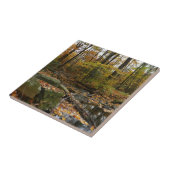 秋クリークウィズリフレクションアットローレルヒルパーク タイル (側面)