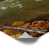 秋クリークウィズリフレクションアットローレルヒルパーク ポスター (角)