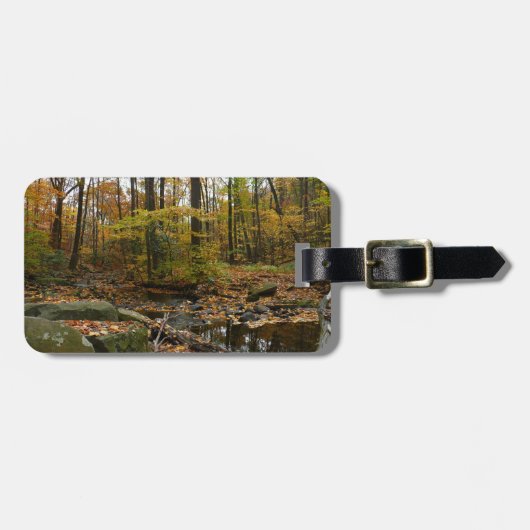 秋クリークウィズリフレクションアットローレルヒルパーク ラゲッジタグ (正面横)