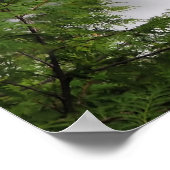 秋クリーク滝 ポスター (角)